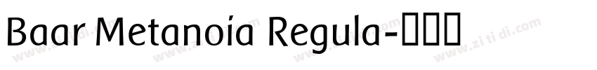 Baar Metanoia Regula字体转换